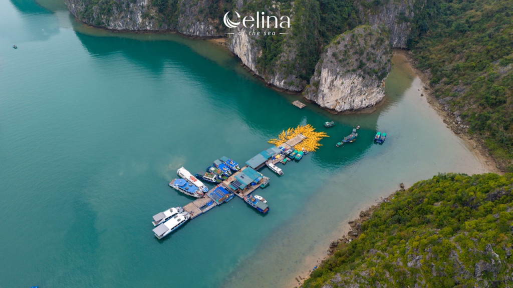 Aerial view of a turquoise bay with a long pier of boats and a circular cluster of yellow kayaks around a central platform near a rocky coastline.