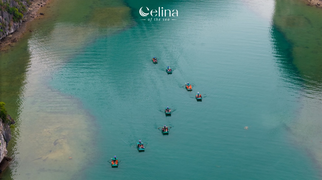 Aerial view of several small rowboats with people, forming a diagonal line on turquoise water near a rocky shoreline; Celina of the sea logo sits at the top center.