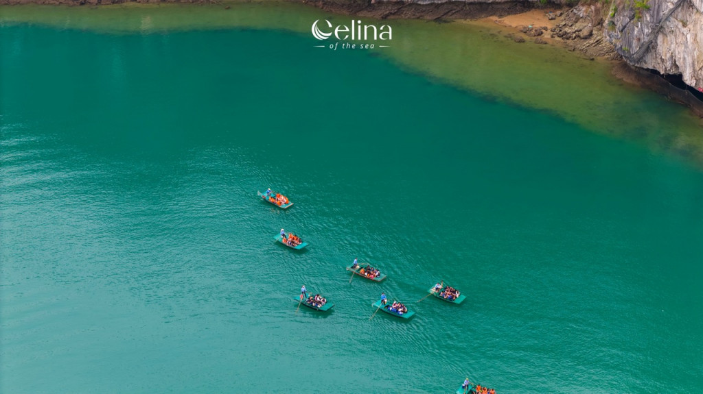 Aerial view of multiple small rowboats with passengers in turquoise water near a rocky shoreline, with a Celina logo at the top.