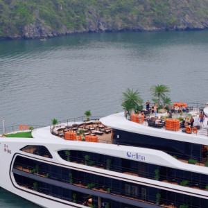 White multi-deck luxury cruise ship named Celina, with orange lifebuoys, palm trees, and guests on the top deck by the water.
